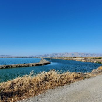 Sunnyvale Bay Trail - Trail/views - Parks Near Me - Sunnyvale, California Sunnyvale Bay Trail - Trail/views - Parks Near Me - Sunnyvale, California