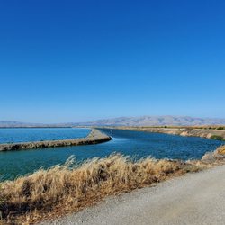 Sunnyvale Bay Trail - Trail/views