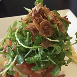 Salmon Tartare Special