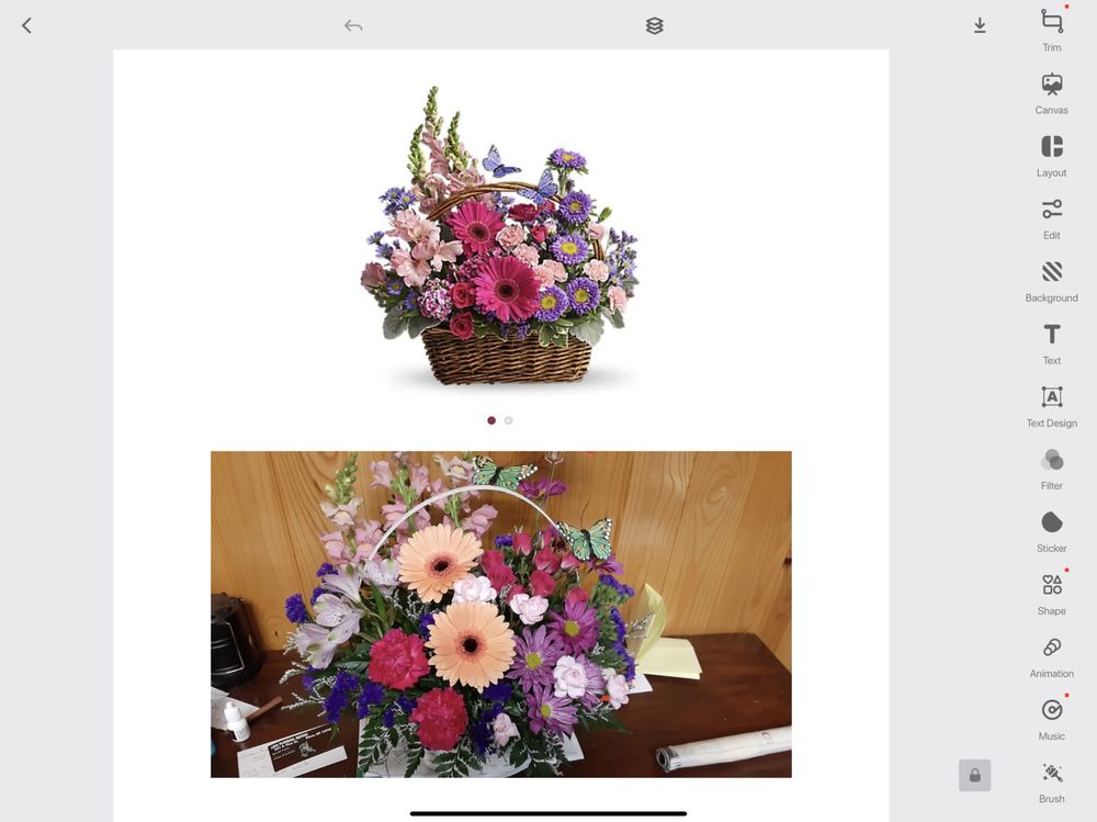 KINGS GREENHOUSES AND FLORIST Updated August 2024 1595 Olean