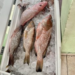 La Conchita del Caribe
