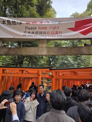 Senbon Torii (Thousand Torii Gates) by null