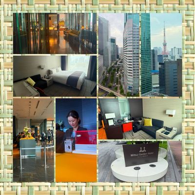 Mitsui Garden Hotel Ginza Premier by null