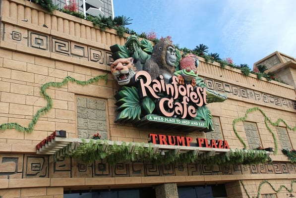 Rainforest Cafe by null