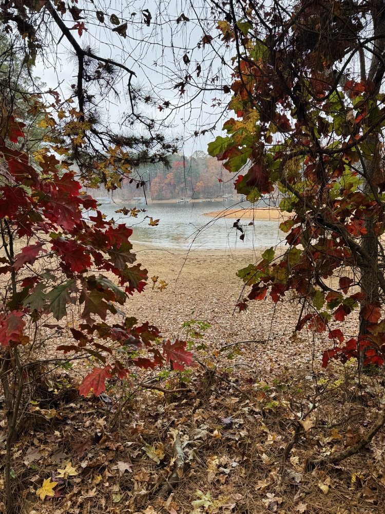 Little Ridge Park Logo