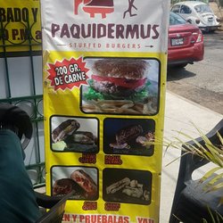 Paquidermus