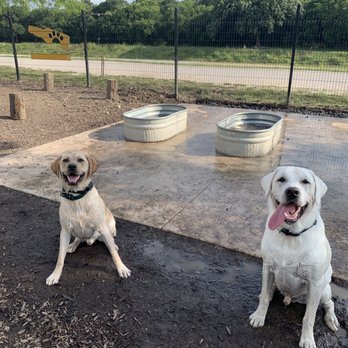 MUTTS Canine Cantina - Fort Worth - Cooling baths - Dog Parks Near Me - Forth Worth, Texas