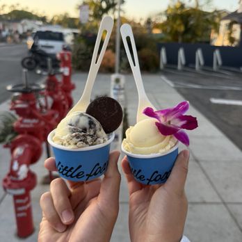 Little Fox Cups & Cones - Ice Cream & Frozen Yogurt Near Me - Oceanside, California Little Fox Cups & Cones - Ice Cream & Frozen Yogurt Near Me - Oceanside, California