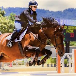 Nessa Cossentine Equestrian - Learn to compete at National levels