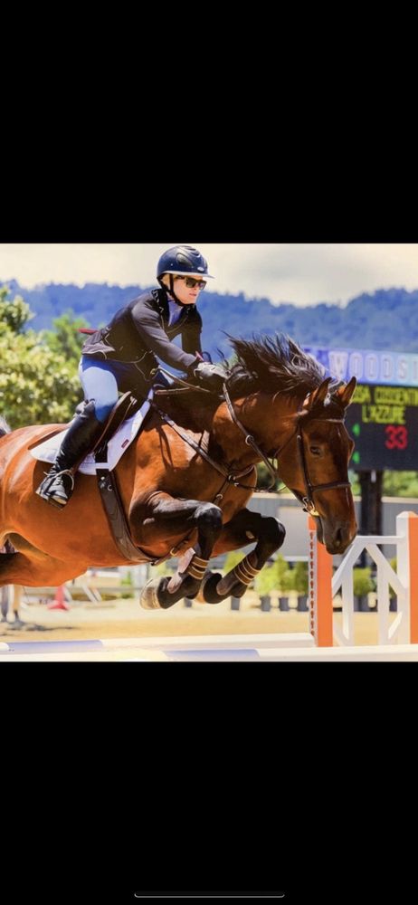 Nessa Cossentine Equestrian Logo