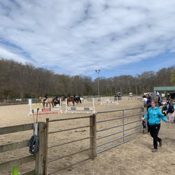 DDR Farms - Horse show