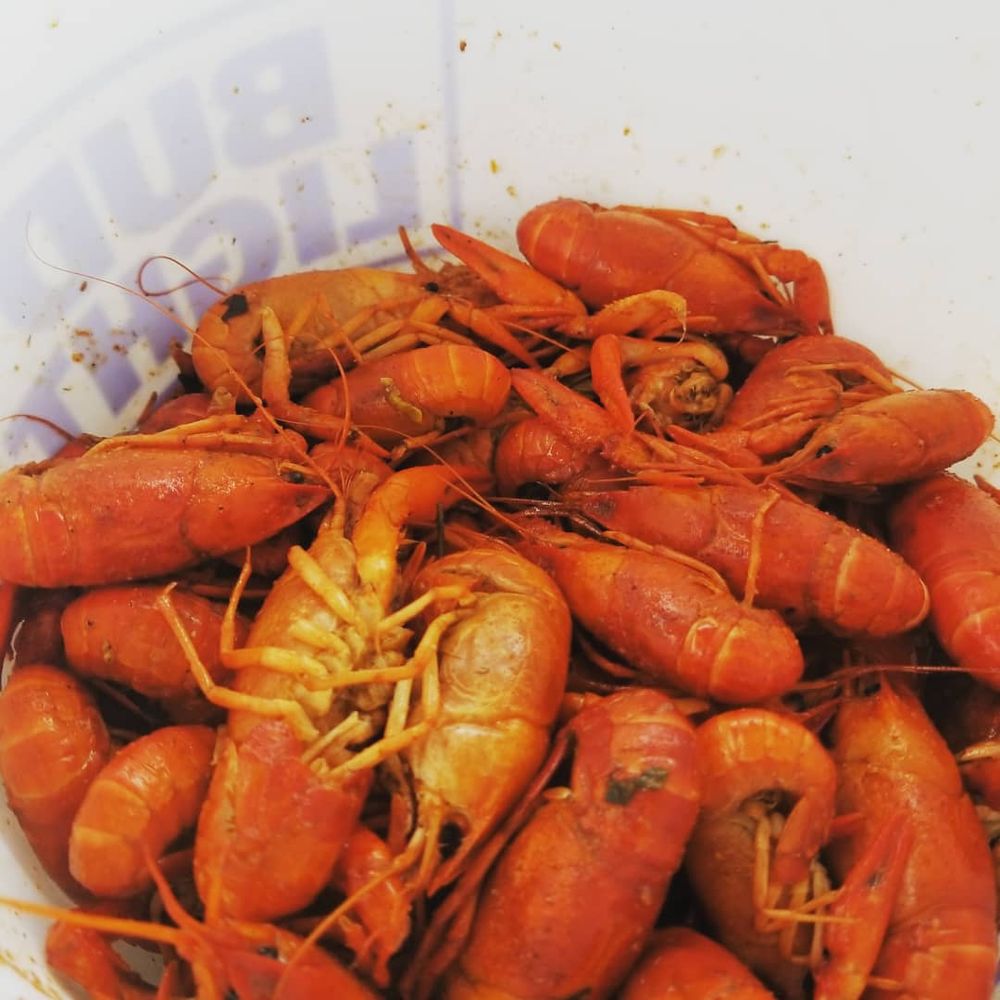 PORCH SWING PUB 107 Photos & 199 Reviews Pubs 69 Heights Blvd