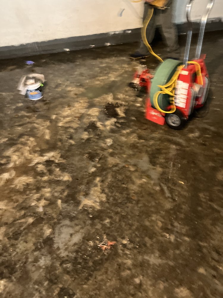 Slide of The Clogfather