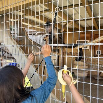 Conservation Ambassadors - Zoo to You - Zoos Near Me - Paso Robles, California Conservation Ambassadors - Zoo to You - Zoos Near Me - Paso Robles, California