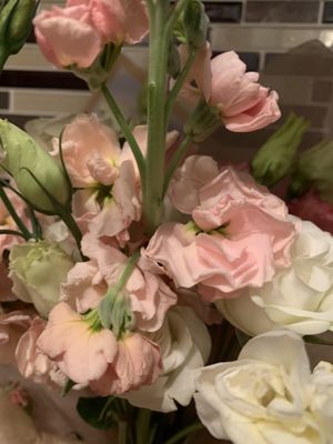 Bloomie Flower Studio by null