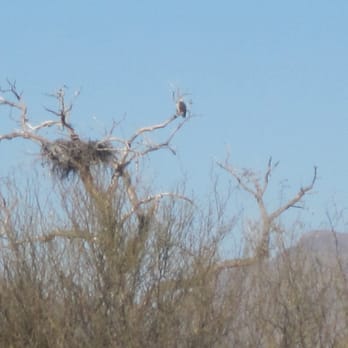 Fort McDowell Adventures - Venues & Event Spaces Near Me - Fort McDowell, Arizona Fort McDowell Adventures - Venues & Event Spaces Near Me - Fort McDowell, Arizona