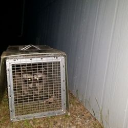 Predator Pest & Weed Management