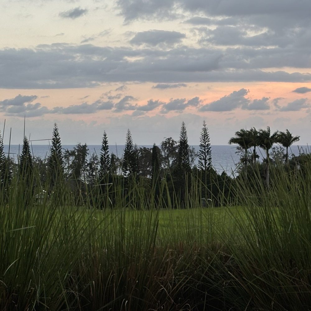Naʻau - View - Hawaiian Near Me Naʻau - View - Hawaiian Near Me