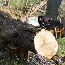 Redbird Tree Service