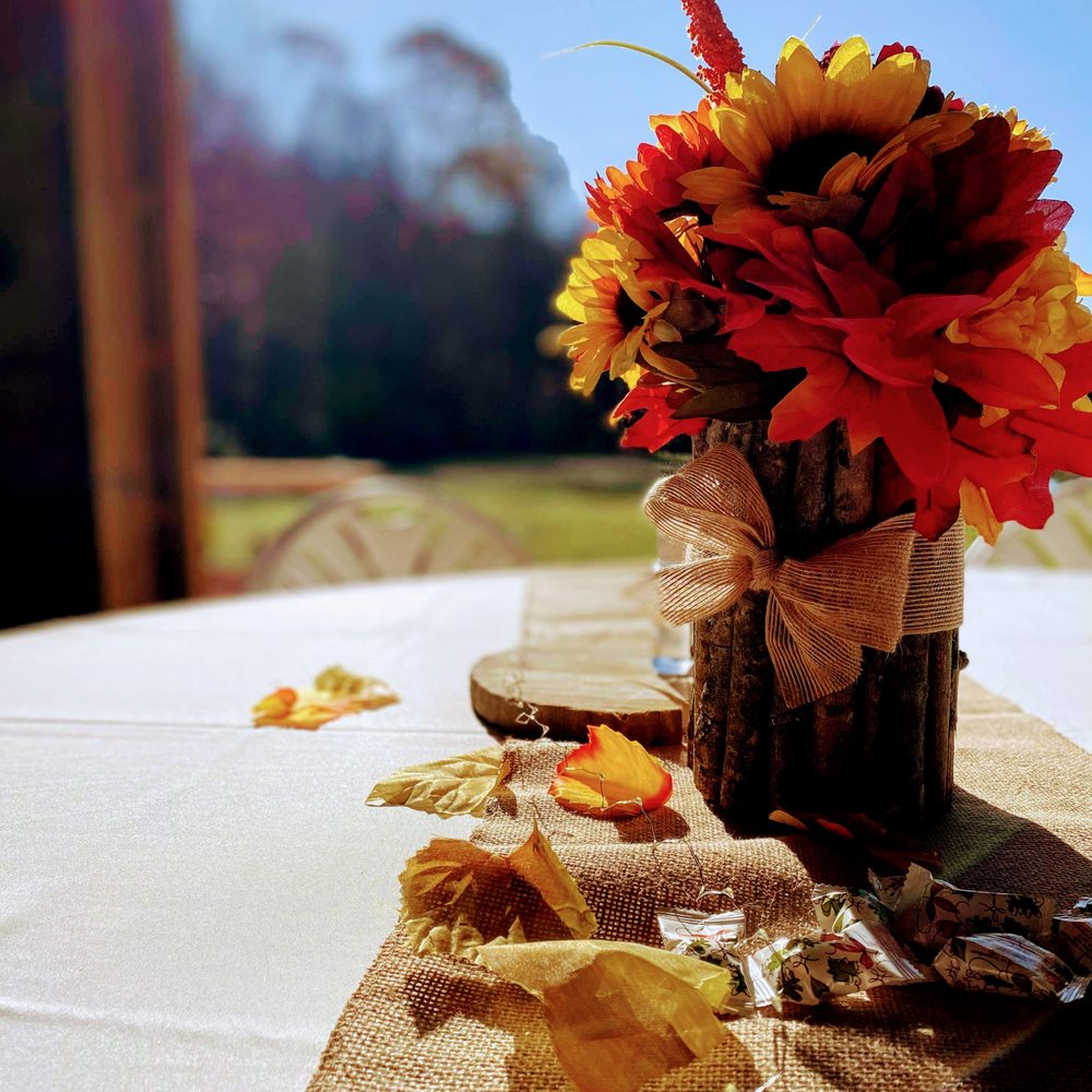 The Barn At Willow Creek - Venues & Event Spaces Near Me - Davisville, West Virginia The Barn At Willow Creek - Venues & Event Spaces Near Me - Davisville, West Virginia
