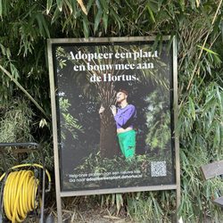 De Hortus Botanicus - Adopt a plant