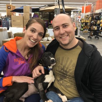A Path 4 Paws - Adopting our Puppy Nova 3/20/2020 - Animal Shelters Near Me - Amargosa Valley, Nevada