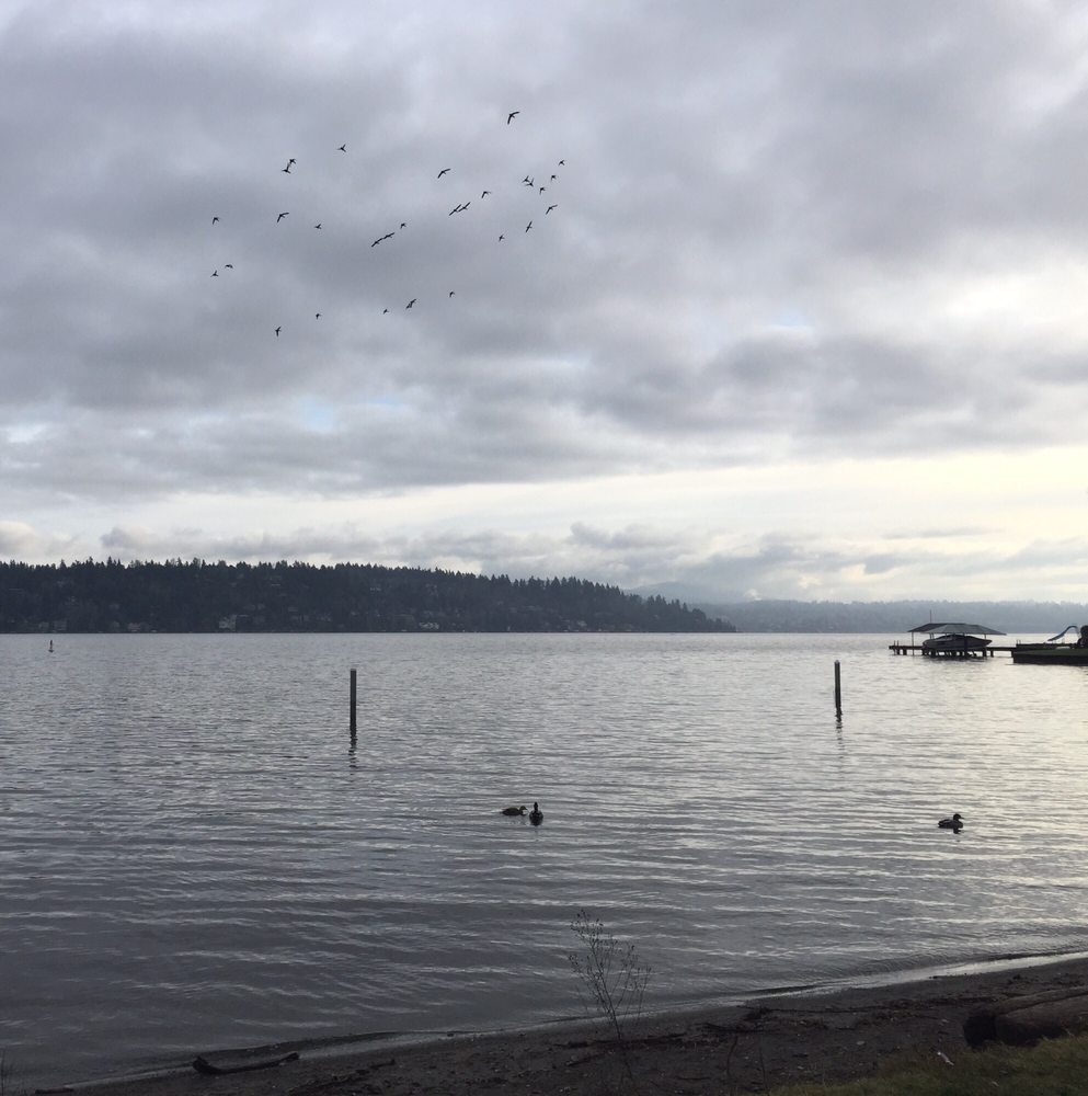 PRITCHARD ISLAND BEACH 18 Photos 8400 55th Ave S, Seattle