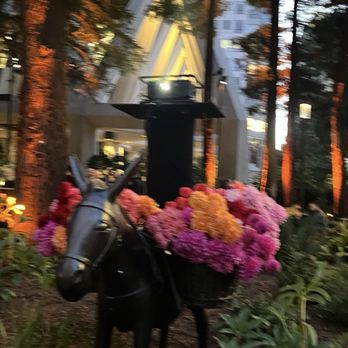 Transamerica Pyramid - The Funky Donkey - Landmarks & Historical Buildings Near Me - San Francisco, California Transamerica Pyramid - The Funky Donkey - Landmarks & Historical Buildings Near Me - San Francisco, California