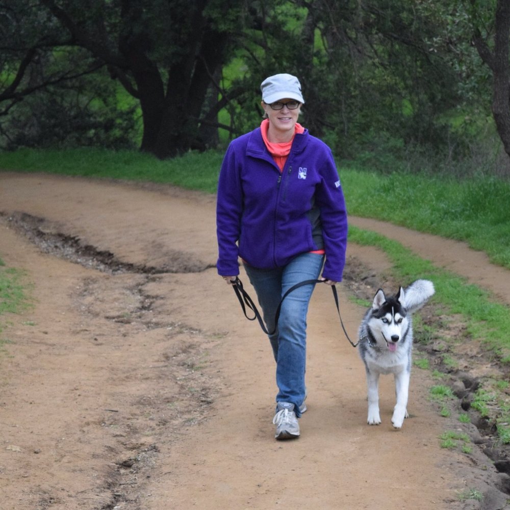 Bay Area Dog Training - Rigel hikes Almaden Quick Silver Trail (at 7 months - she's gonna be a great trail companion, thanks BADT!) - Pet Training Near Me