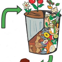 Peels 2 Meals - Soil's Health = Our Health