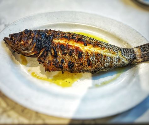 Taverna Kyclades by null