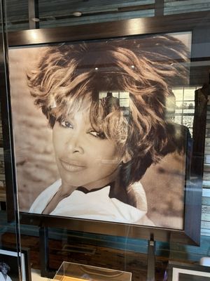 West Tennessee Delta Heritage Center / Tina Turner Museum by null