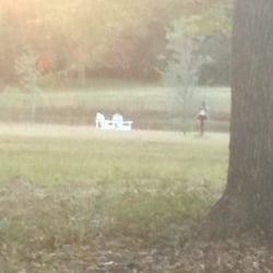 Abita Springs Bed & Breakfast