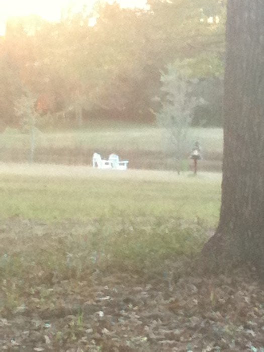 ABITA SPRINGS BED & BREAKFAST Updated October 2024 75368 Jack Lloyd