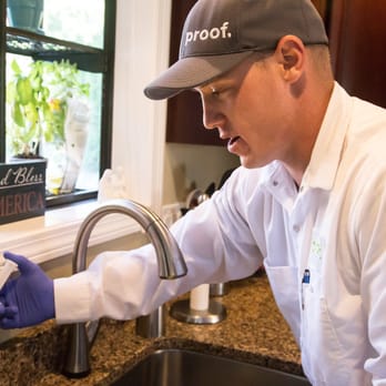 Proof Pest Control - Guaranteed gel ant treatment. - Pest Control Near Me - Rochester, Michigan Proof Pest Control - Guaranteed gel ant treatment. - Pest Control Near Me - Rochester, Michigan