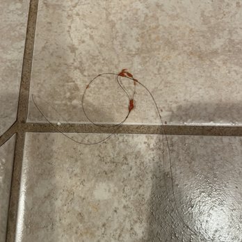 Giovanni's - Hair on the kids spaghetti - Italian Near Me - Beaverton, Oregon