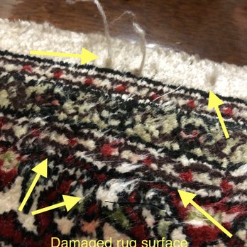 Zakian Rug Cleaning - undefined - Carpet Cleaning Near Me - Philadelphia, Pennsylvania Zakian Rug Cleaning - undefined - Carpet Cleaning Near Me - Philadelphia, Pennsylvania