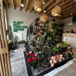 Denver Plant Club