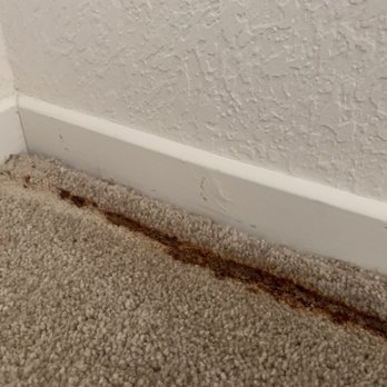 Windwood Glen Apartment Homes - AFTER MOLD REMEDIATION AND SAID THE APT. WAS MOVE-IN READY. They didn't replace the trim, simply repainted & didn't replace the moldy carpet - Apartments Near Me - Irvine, California Windwood Glen Apartment Homes - AFTER MOLD REMEDIATION AND SAID THE APT. WAS MOVE-IN READY. They didn't replace the trim, simply repainted & didn't replace the moldy carpet - Apartments Near Me - Irvine, California