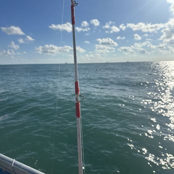 Osprey Cruises - Bay Port Isabel - Boat Charters Near Me - Port Isabel, Texas Osprey Cruises - Bay Port Isabel - Boat Charters Near Me - Port Isabel, Texas