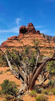 Bell Rock by null