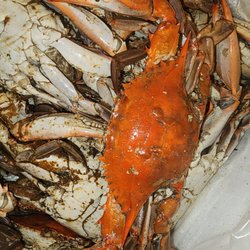 Chesapeake Crab Connection - Steamed blue crabs