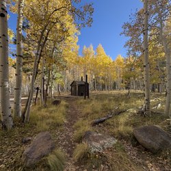 Lockett Meadow