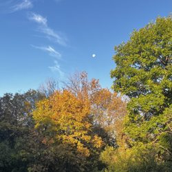 Big Sky Massage & Wellness - View from the deck...fall is coming!