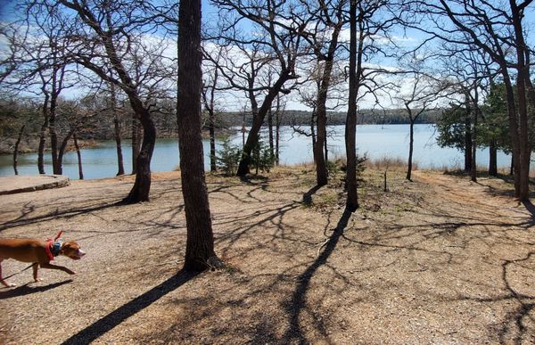 Chickasaw National Recreation Area by null