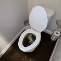 Perfect Cleaning Services