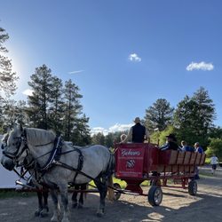 Buckaroos Horse-Drawn Rides - Horse drawn carriage