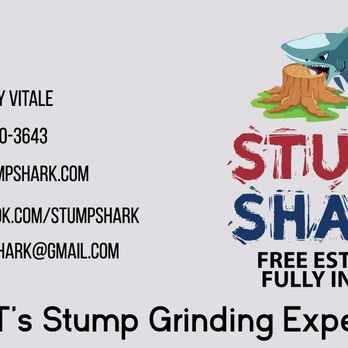 Stump Shark Stump Grinding - Tree Services Near Me - Milford, Connecticut Stump Shark Stump Grinding - Tree Services Near Me - Milford, Connecticut