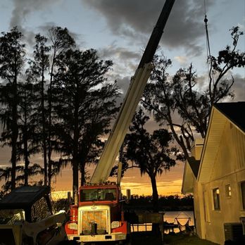 American Tree Solutions - Tree Services Near Me - Jacksonville, Florida American Tree Solutions - Tree Services Near Me - Jacksonville, Florida