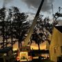 Photo of American Tree Solutions